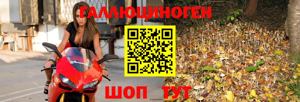Галлюциногенные грибы MAGIC MUSHROOMS  цена   Ейск  Вход с VPN 