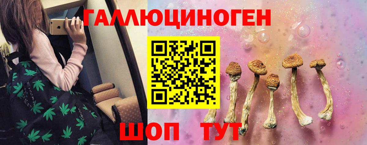 Галлюциногенные грибы Cubensis Ейск